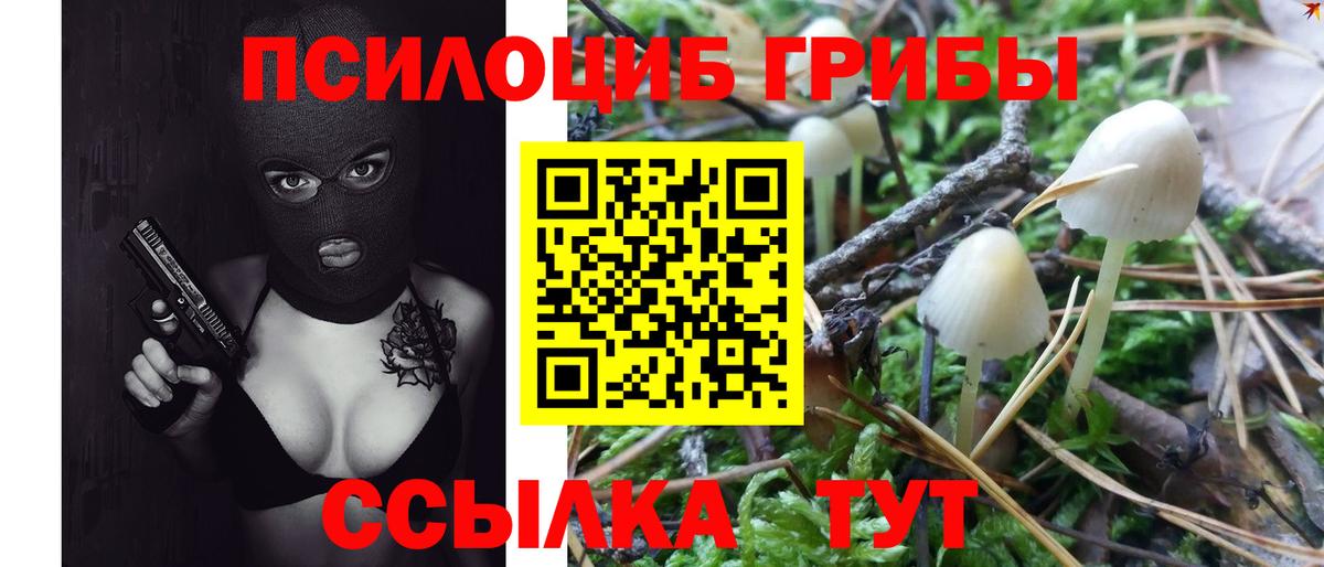 Псилоцибиновые грибы Psilocybe Азов